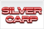 Silver Carp